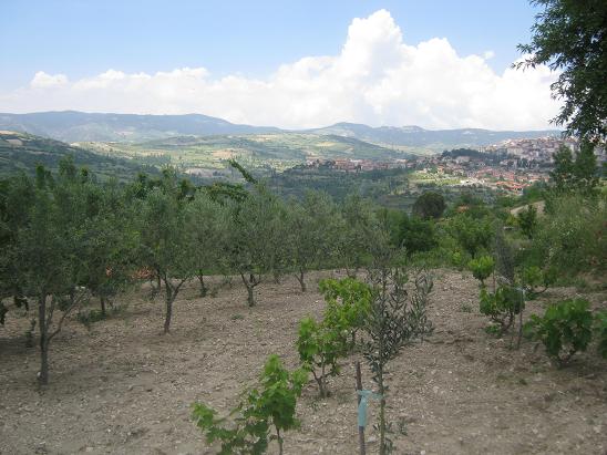 Name:  baheden ilemiz.JPG
Views: 1616
Size:  58.5 KB
