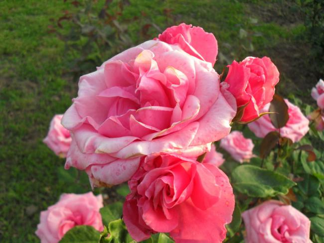 Name:  020.jpg
Views: 547
Size:  45.7 KB