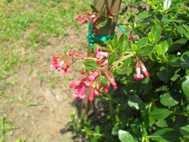 Name:  026.jpg
Views: 815
Size:  55.5 KB