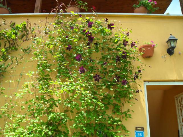 Name:  055.jpg
Views: 799
Size:  71.0 KB