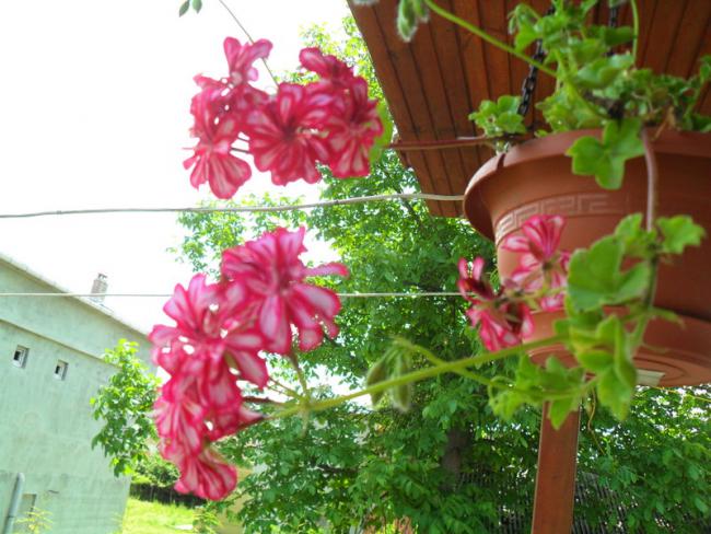 Name:  062.jpg
Views: 1491
Size:  58.1 KB