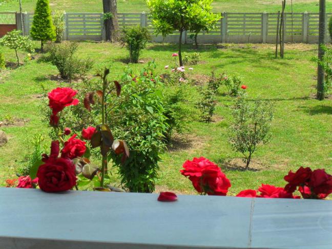 Name:  066.jpg
Views: 805
Size:  69.7 KB