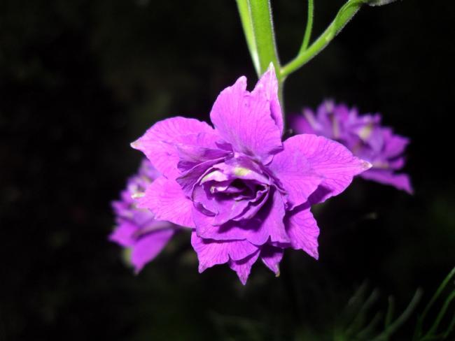 Name:  039.jpg
Views: 785
Size:  25.9 KB