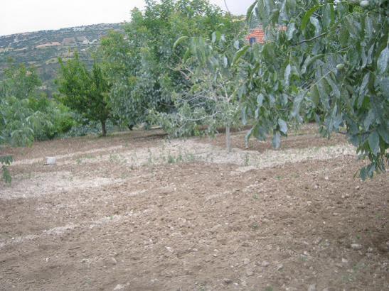 Name:  bahe.jpg
Views: 1667
Size:  50.9 KB