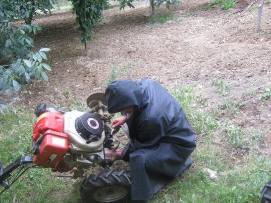 Name:  apa m.jpg
Views: 2100
Size:  57.2 KB