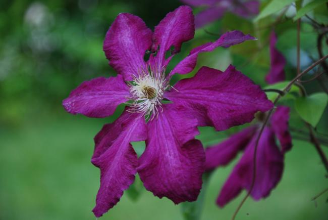 Name:  DSC_0506.jpg
Views: 832
Size:  30.2 KB
