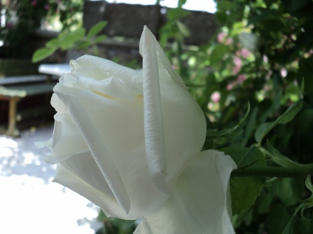 Name:  DSC01450_639x479.JPG
Views: 553
Size:  63.1 KB