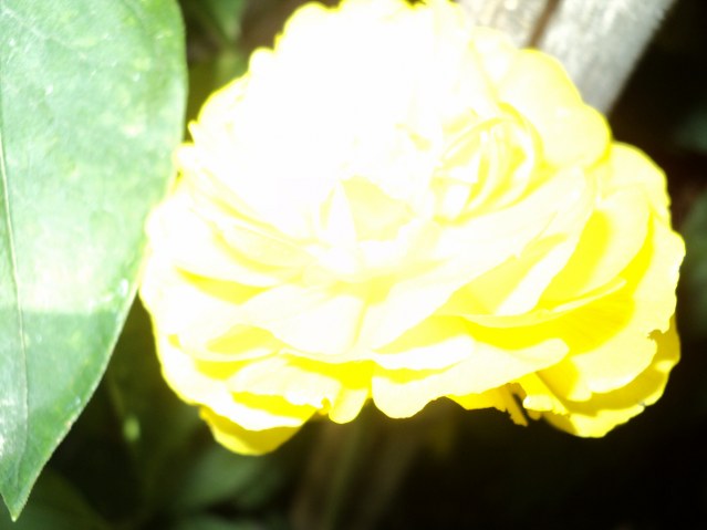 Name:  DSC01452_639x479.JPG
Views: 548
Size:  57.3 KB