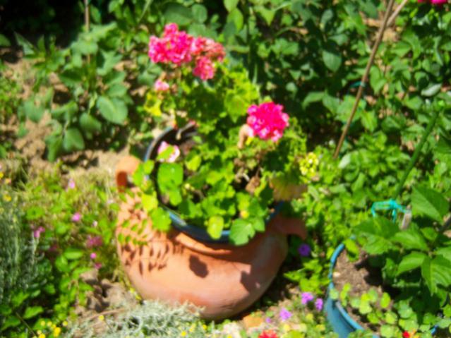 Name:  100_1606.jpg
Views: 426
Size:  58.6 KB