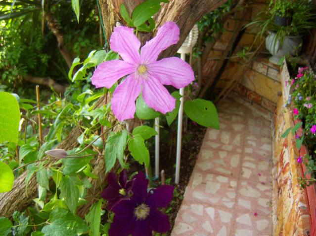Name:  100_1682.jpg
Views: 474
Size:  57.1 KB