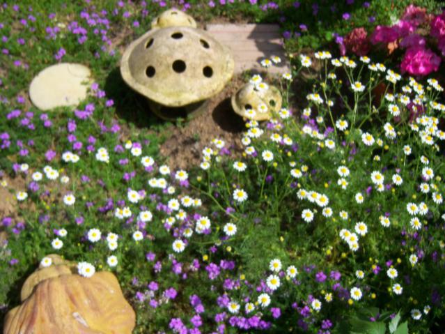 Name:  100_1702.jpg
Views: 449
Size:  67.7 KB