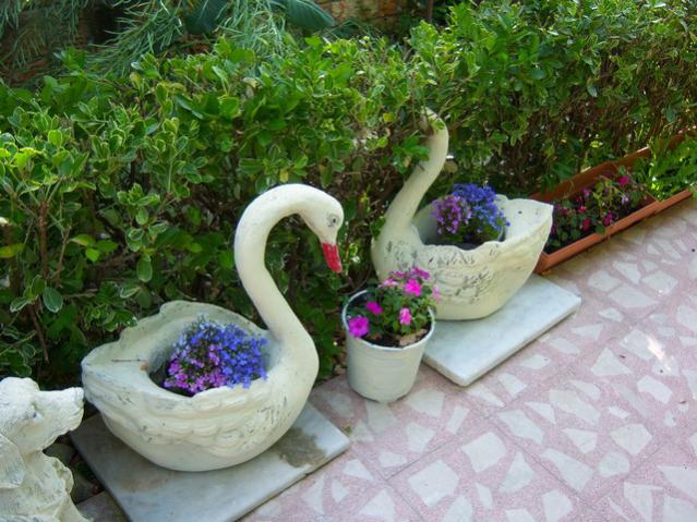 Name:  100_1704.jpg
Views: 452
Size:  63.3 KB