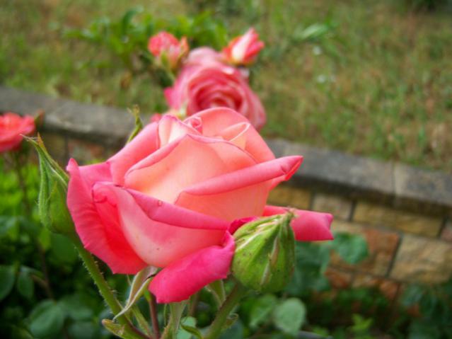Name:  100_1708.jpg
Views: 503
Size:  33.8 KB