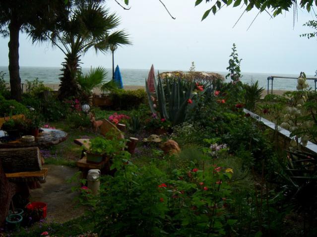Name:  100_1728.jpg
Views: 476
Size:  50.6 KB