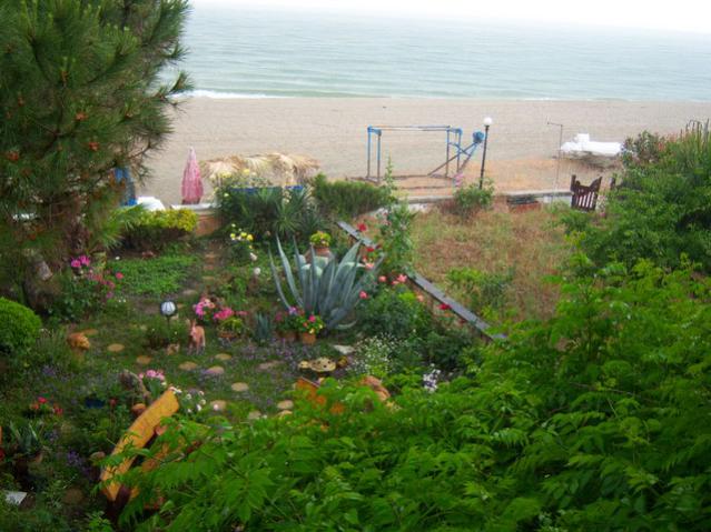 Name:  100_1730.jpg
Views: 473
Size:  55.1 KB