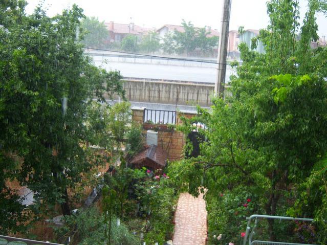 Name:  100_1739.jpg
Views: 471
Size:  66.9 KB