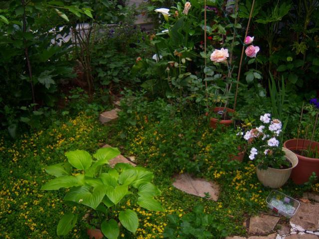 Name:  100_1759.jpg
Views: 467
Size:  64.2 KB