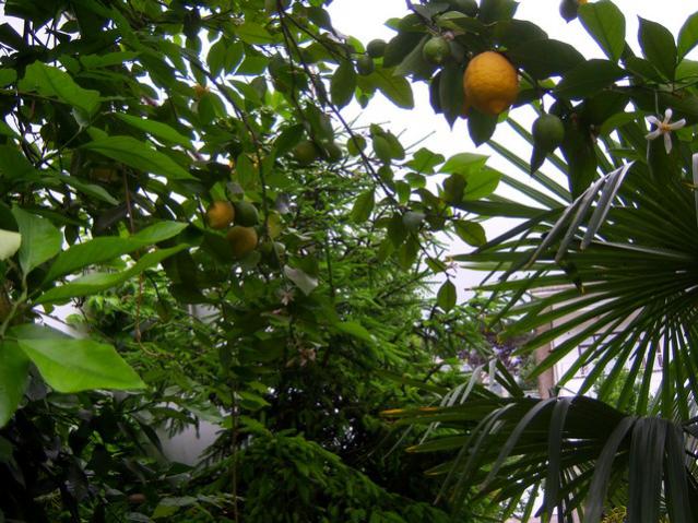 Name:  100_1780.jpg
Views: 541
Size:  68.6 KB
