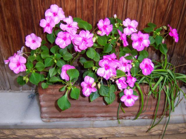 Name:  100_1785.jpg
Views: 532
Size:  60.5 KB