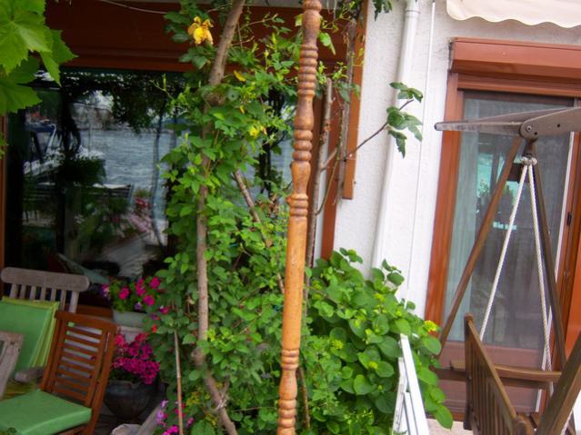 Name:  100_1786.jpg
Views: 542
Size:  58.1 KB