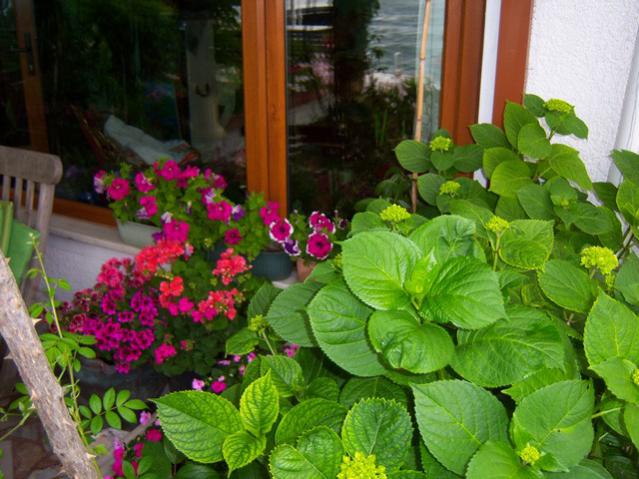Name:  100_1789.jpg
Views: 703
Size:  55.7 KB