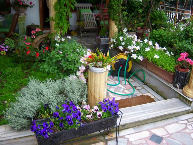 Name:  100_1794.jpg
Views: 724
Size:  71.1 KB