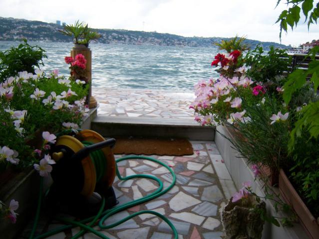 Name:  100_1801.jpg
Views: 740
Size:  53.4 KB