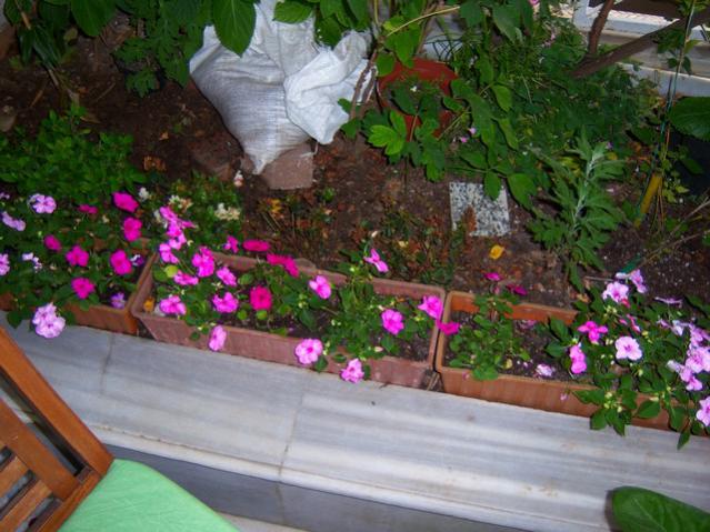 Name:  100_1804.jpg
Views: 738
Size:  57.9 KB