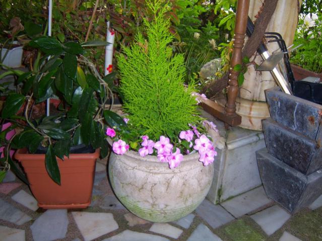 Name:  100_1807.jpg
Views: 743
Size:  59.5 KB