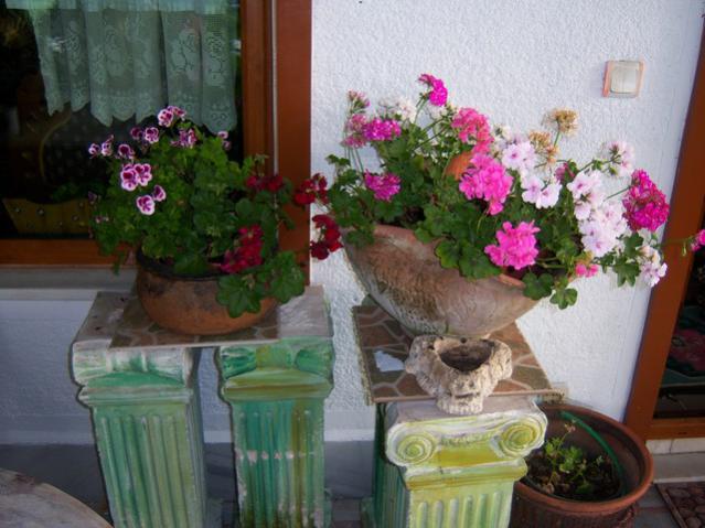 Name:  100_1808.jpg
Views: 700
Size:  49.3 KB