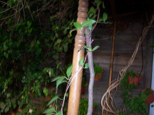 Name:  100_1814.jpg
Views: 704
Size:  42.5 KB