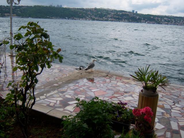 Name:  100_1815.jpg
Views: 682
Size:  56.5 KB