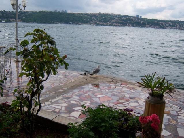 Name:  100_1816.jpg
Views: 699
Size:  56.1 KB