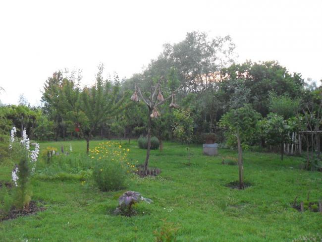 Name:  077.jpg
Views: 449
Size:  45.2 KB