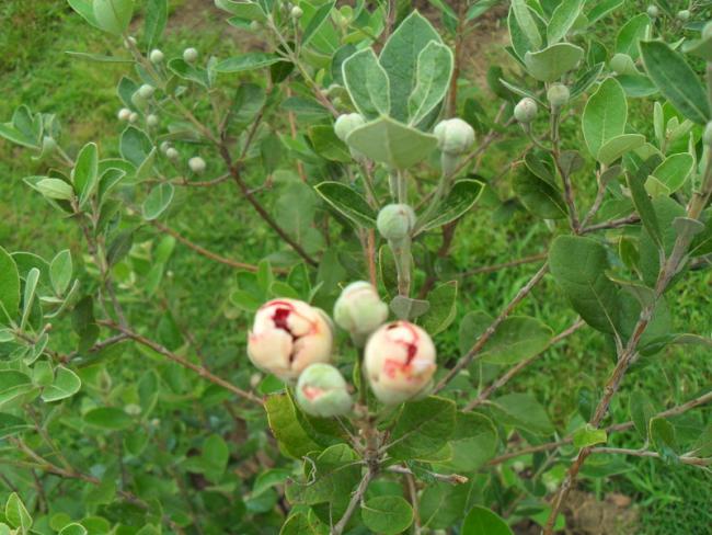 Name:  048.jpg
Views: 457
Size:  57.3 KB