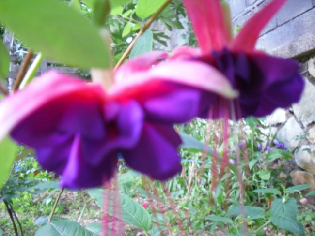 Name:  SDC12234 copy.jpg
Views: 584
Size:  44.4 KB