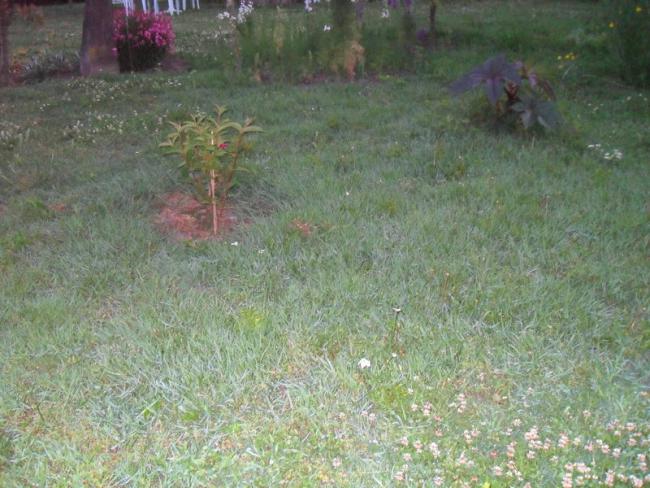 Name:  039.jpg
Views: 565
Size:  59.5 KB