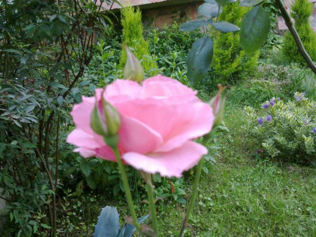 Name:  w6 022 (Byk).jpg
Views: 455
Size:  70.2 KB
