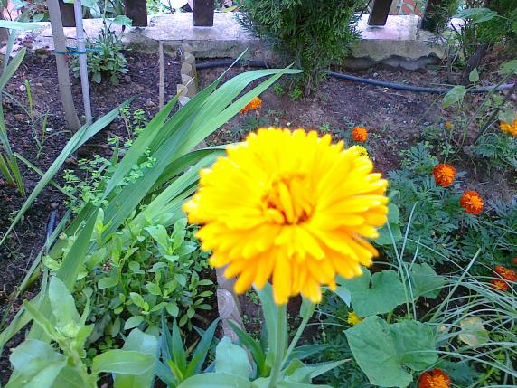Name:  aynsafa 1.jpg
Views: 709
Size:  71.9 KB
