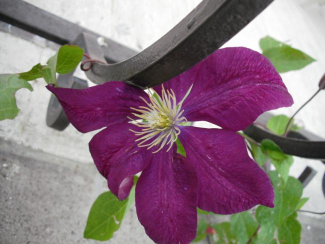 Name:  DSCF2044.jpg
Views: 934
Size:  40.3 KB