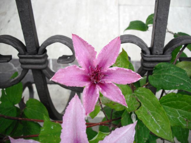 Name:  DSCF2048.jpg
Views: 890
Size:  41.0 KB
