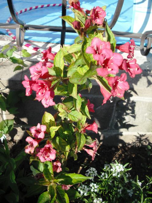 Name:  DSCF2028.jpg
Views: 655
Size:  70.9 KB