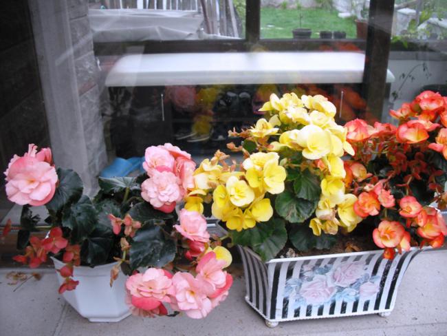 Name:  DSCF2081.jpg
Views: 891
Size:  55.7 KB