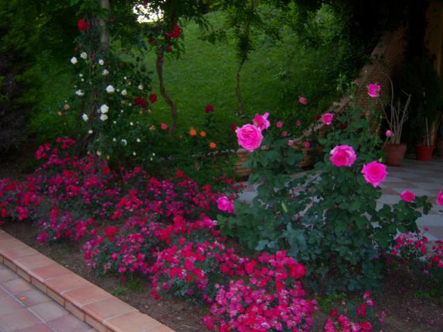 Name:  100_1858.jpg
Views: 459
Size:  51.1 KB