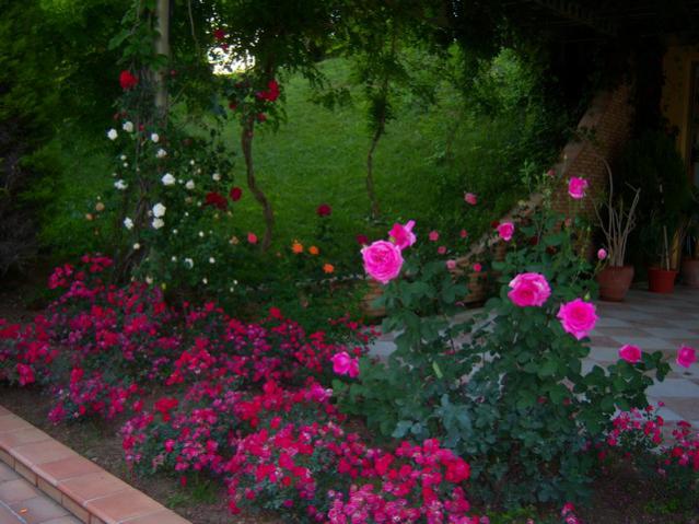 Name:  100_1859.jpg
Views: 465
Size:  52.3 KB