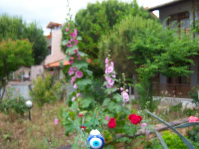 Name:  100_1868.jpg
Views: 477
Size:  41.4 KB