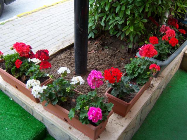 Name:  100_1885.jpg
Views: 510
Size:  62.1 KB