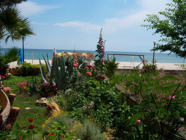 Name:  100_1901.jpg
Views: 479
Size:  63.1 KB