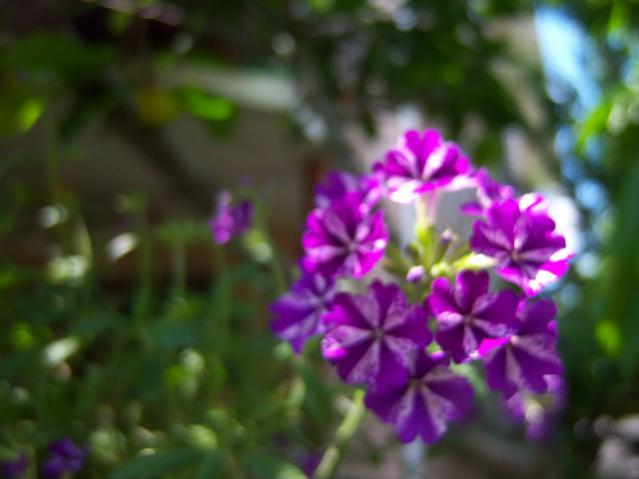 Name:  100_1923.jpg
Views: 466
Size:  30.6 KB