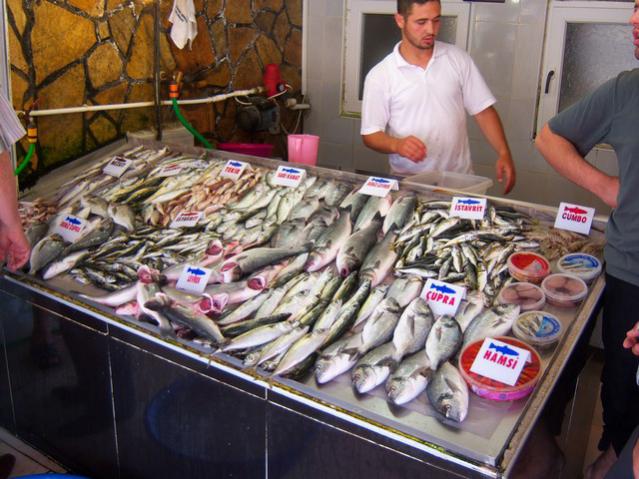 Name:  100_1936.jpg
Views: 566
Size:  59.8 KB